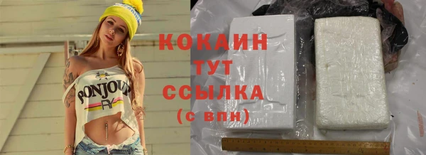 твердый Алзамай