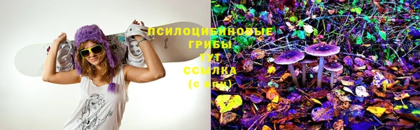 твердый Алзамай