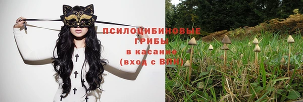 твердый Алзамай