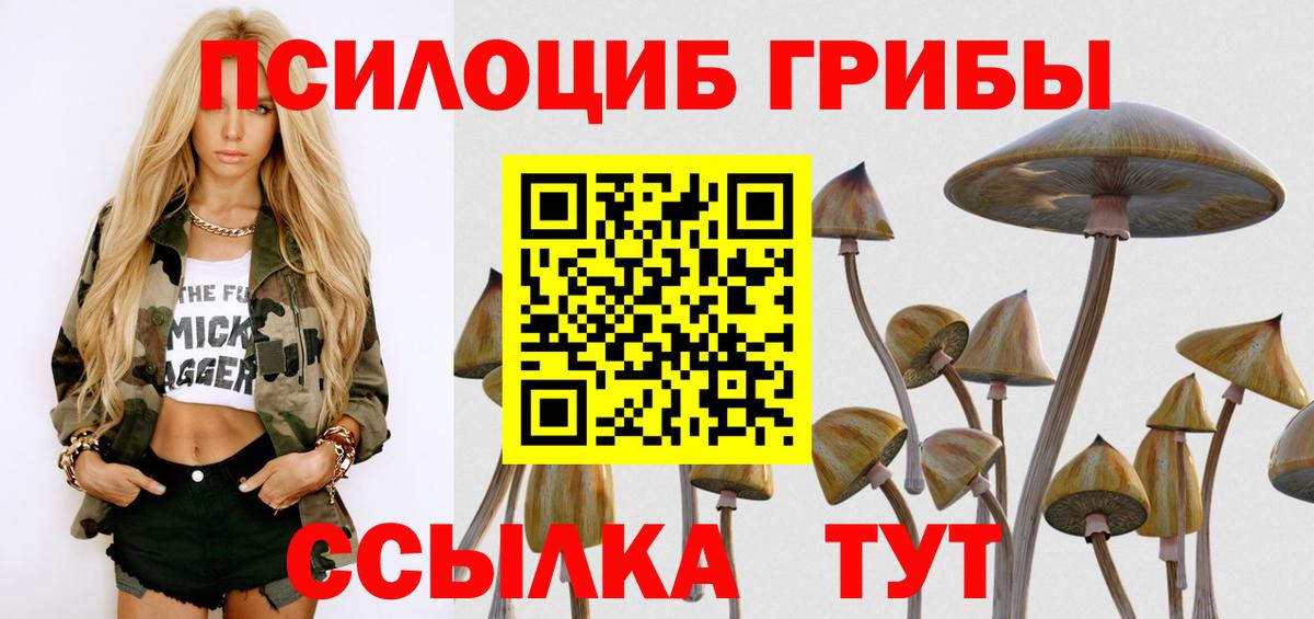 Мытищи  Псилоцибиновые грибы прущие грибы  закладки  Вход с VPN  Галлюциногенные грибы Psilocybe 