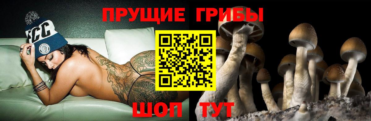 Галлюциногенные грибы GOLDEN TEACHER Мытищи